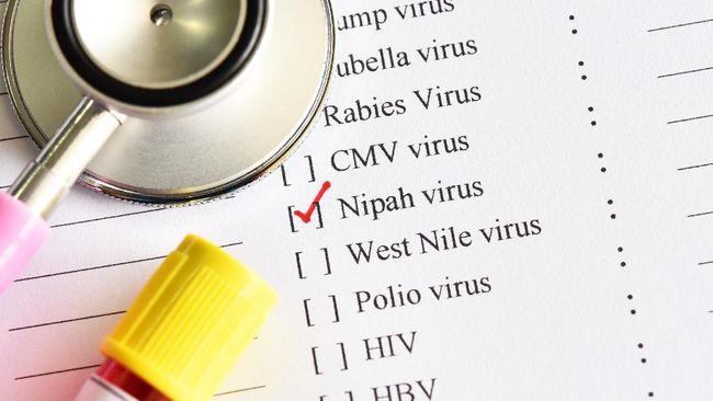 Gejala Virus Nipah Mirip Flu Hingga Gangguan Otak yang Berujung Kematian